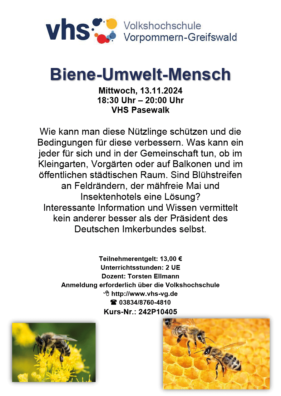 Bild für Biene-Umwelt-Mensch